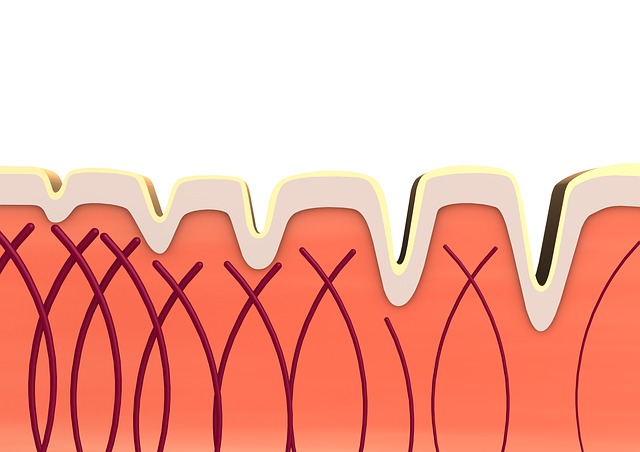 collagene